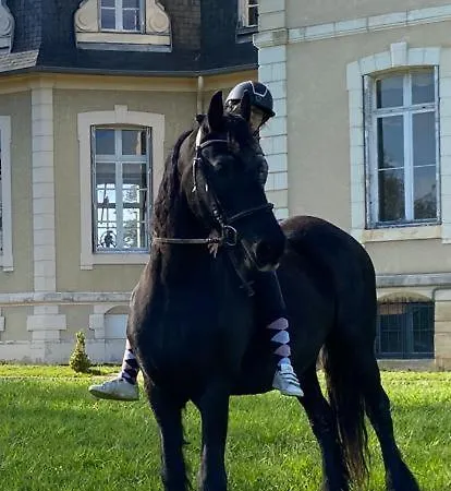 Du Parc Du Chateau De La Bouchatte Chazemais